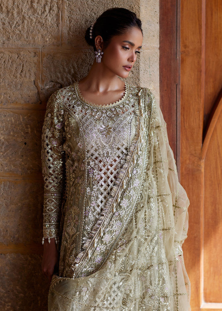 Buy Now Dastangoi Wedding Formals &