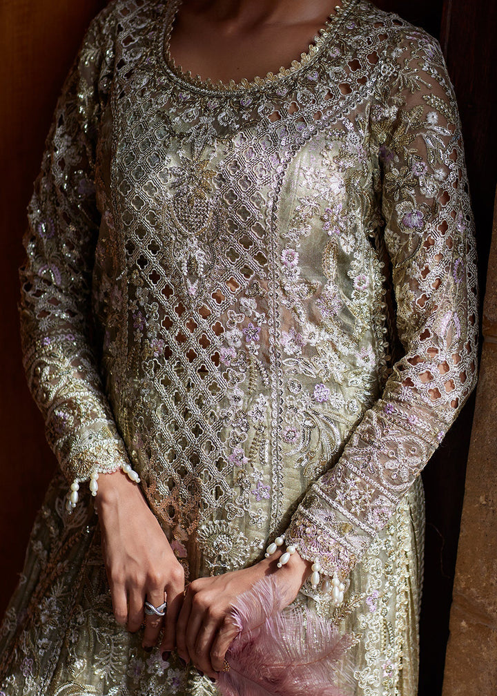 Buy Now Dastangoi Wedding Formals &