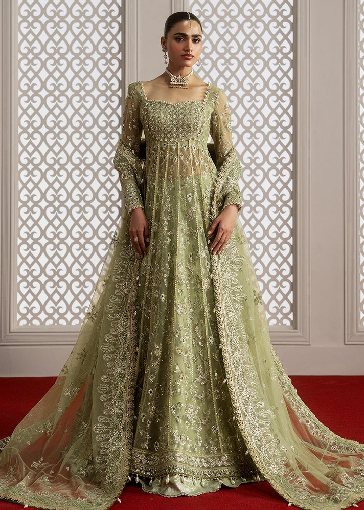 Buy Now Aure Wedding Formals &