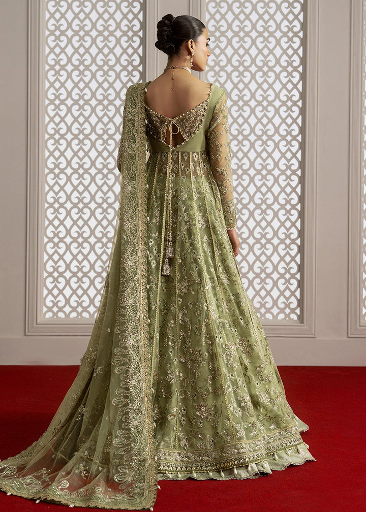 Buy Now Aure Wedding Formals &