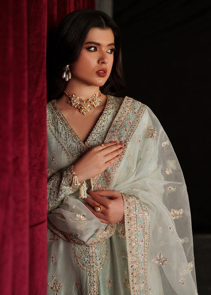 Verve Silk Edit &