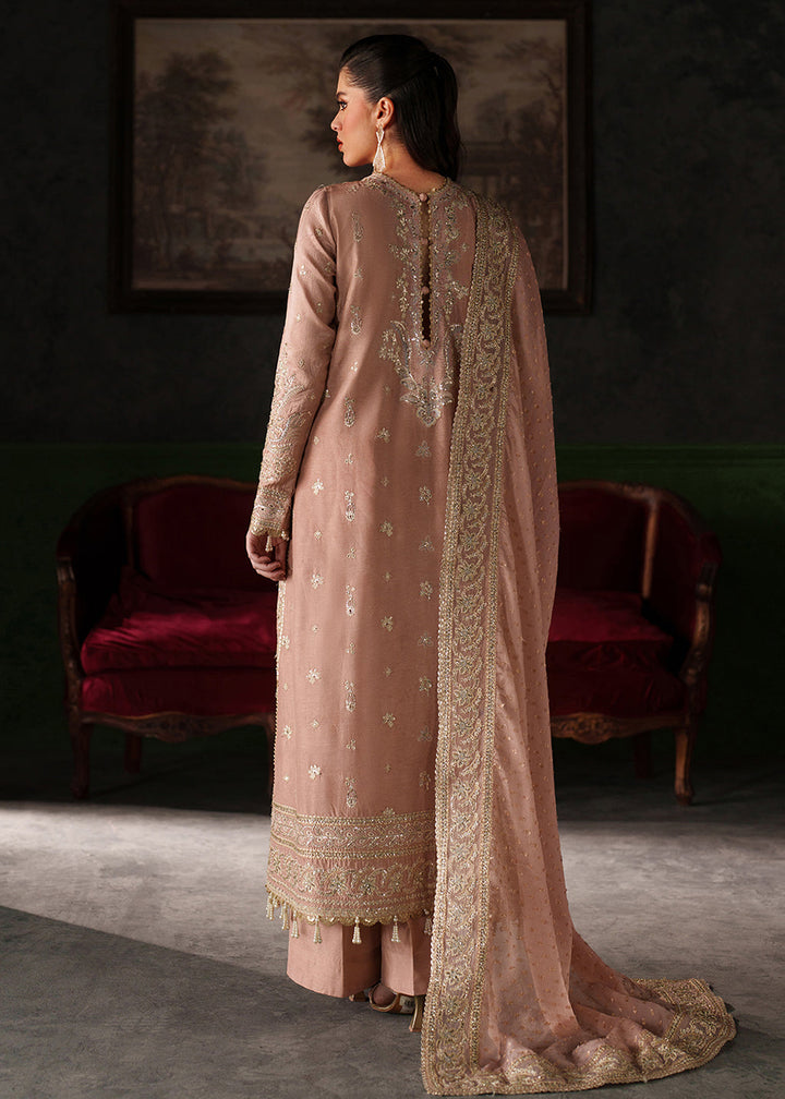 Buy Now Verve Silk Edit &