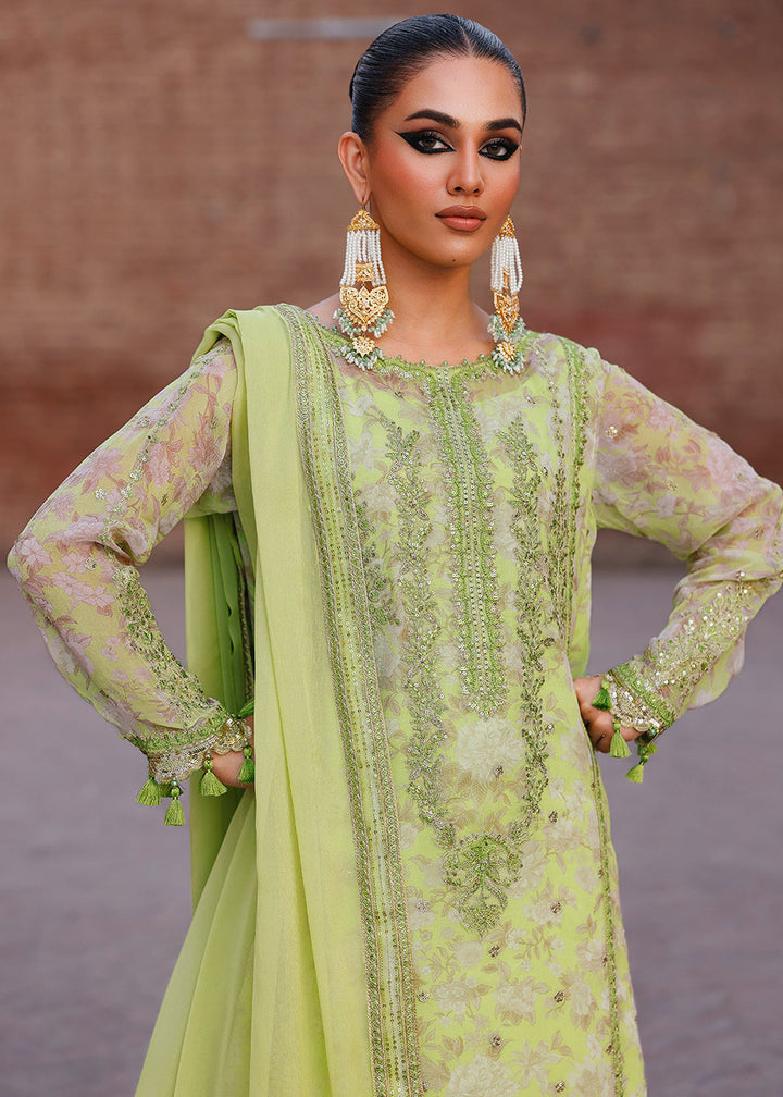 Buy Now Vasal Luxury Chiffon Collection '25 by Charizma | VSL5-18 Online in USA, UK, Canada, France, Italy, Germany, Australia & Worldwide at Empress Clothing.