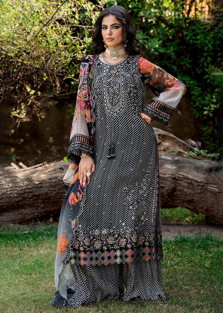 Buy Now Vasal Luxury Chiffons &