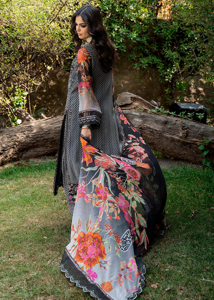 Buy Now Vasal Luxury Chiffons &