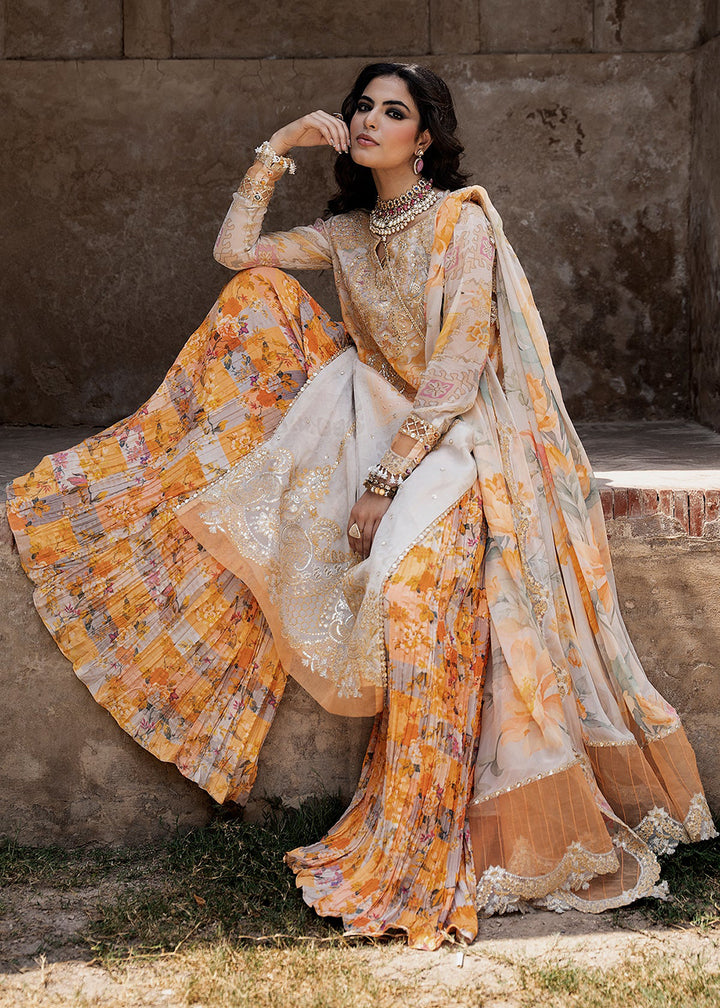 Buy Now Vasal Luxury Chiffons &