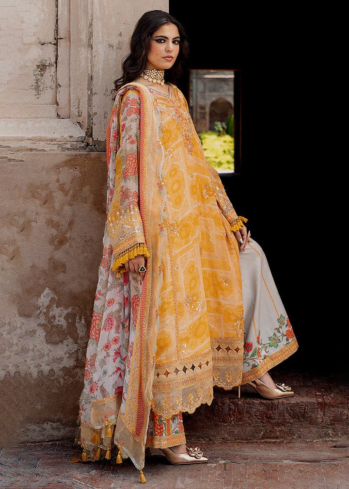 Buy Now Vasal Luxury Chiffons &