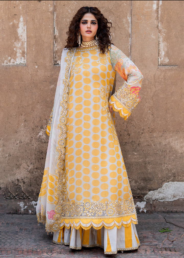 Buy Now Vasal Luxury Chiffons &