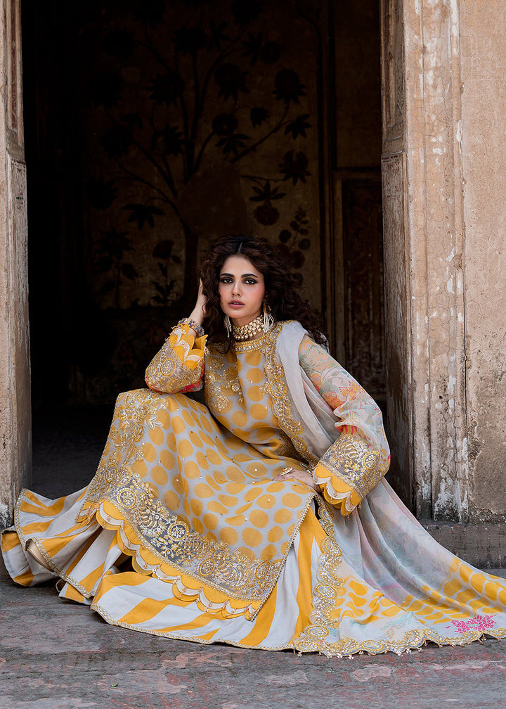 Buy Now Vasal Luxury Chiffons &