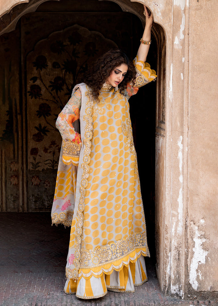 Buy Now Vasal Luxury Chiffons &