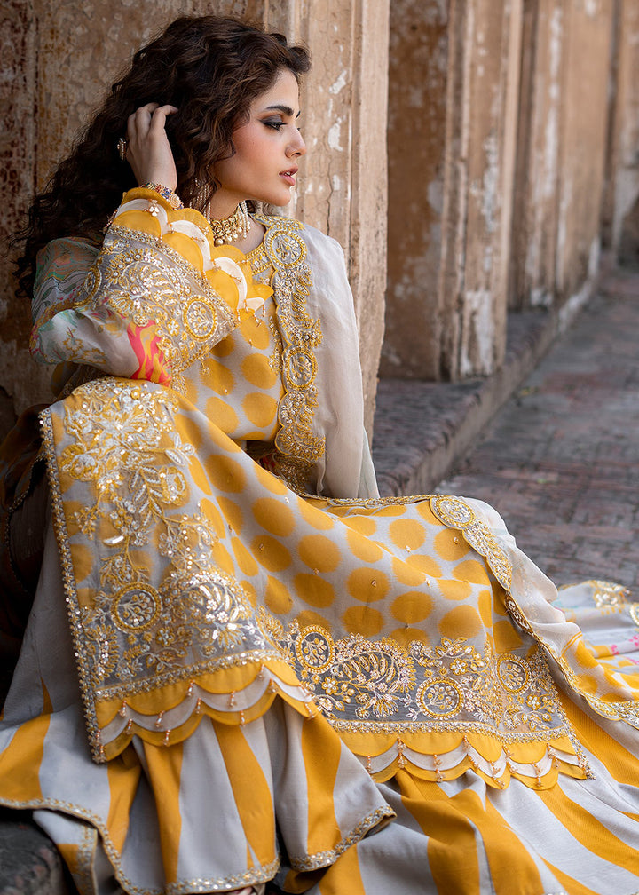 Buy Now Vasal Luxury Chiffons &