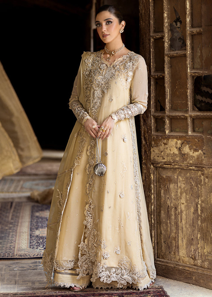 Buy Now Chiffons Luxury Formals '25 by Qalamkar | WC-07 HEELA Online in USA, UK, Canada, Germany, Italy, Austria, France, UAE & Worldwide at Empress Clothing.