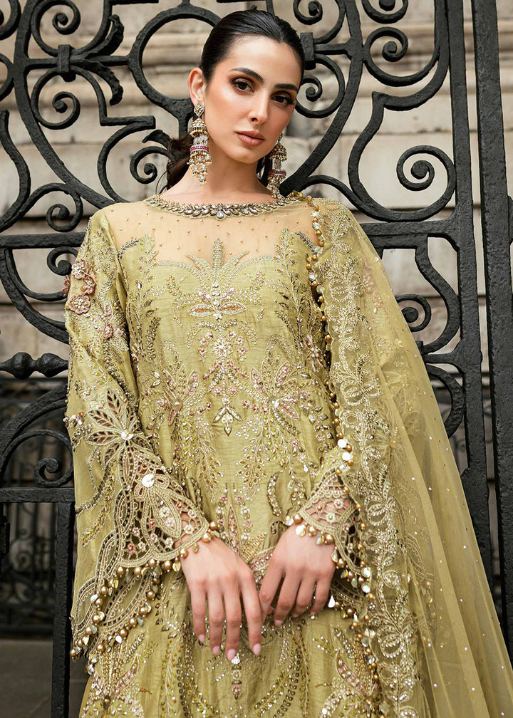 Buy Now Soiree Luxury Formals '25 by Maria B | WF-09-08 Online in US, UK, Canada, Germany, Italy, Austria, France, Denmark, Austria, UAE & Worldwide at Empress.