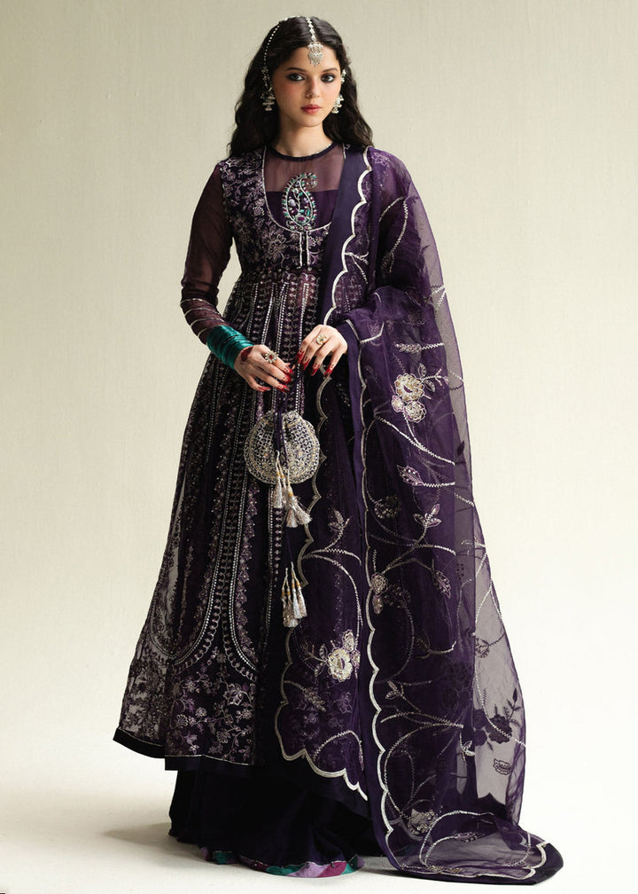 Buy Now Wedding Luxury Formals '25 by Zara Shahjahan | Ziya Online in USA, UK, Canada, Greece, Germany, Ireland, Italy, UAE, Qatar & Worldwide at Empress.