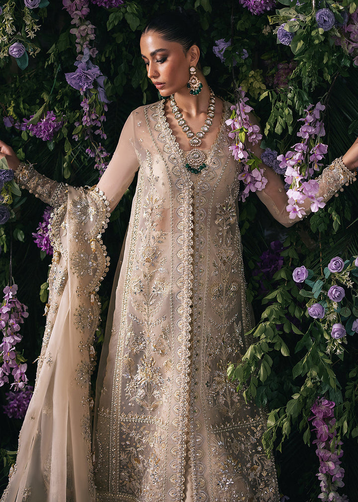 Buy Now Gossamer Wedding Formals '24 by Zaha | TALIA (ZC24-06) Online at Empress Online in USA, UK, France, UAE, Canada & Worldwide at Empress Clothing. 