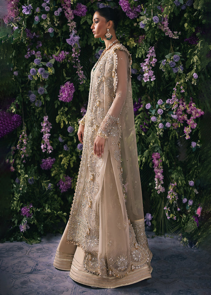 Buy Now Gossamer Wedding Formals '24 by Zaha | TALIA (ZC24-06) Online at Empress Online in USA, UK, France, UAE, Canada & Worldwide at Empress Clothing. 