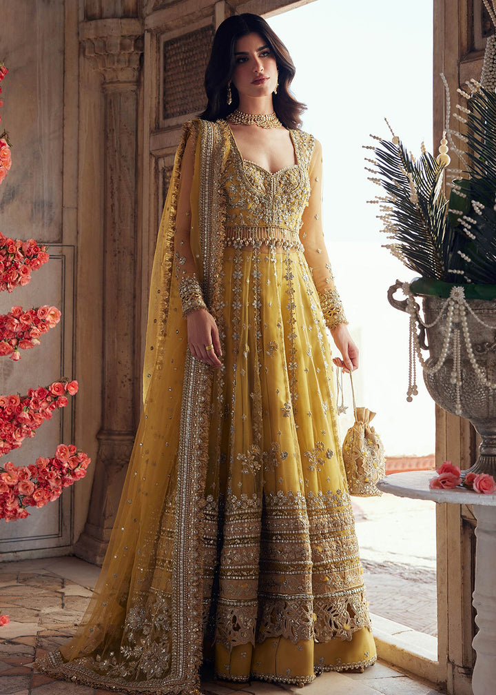 Buy Now Gossamer Wedding Formals '25 by Zaha | SURAJMUKHI(ZC25-02) Online in US, UK, Canada, France, Italy, Germany, Sweden, Greece, UAE & Worldwide at Empress.