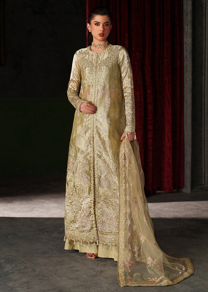 Buy Now Verve Silk Edit &
