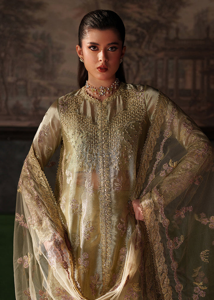 Buy Now Verve Silk Edit &