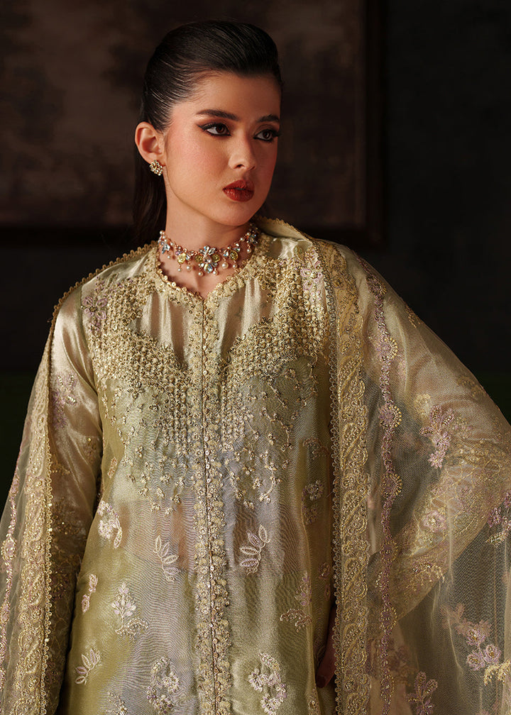 Buy Now Verve Silk Edit &