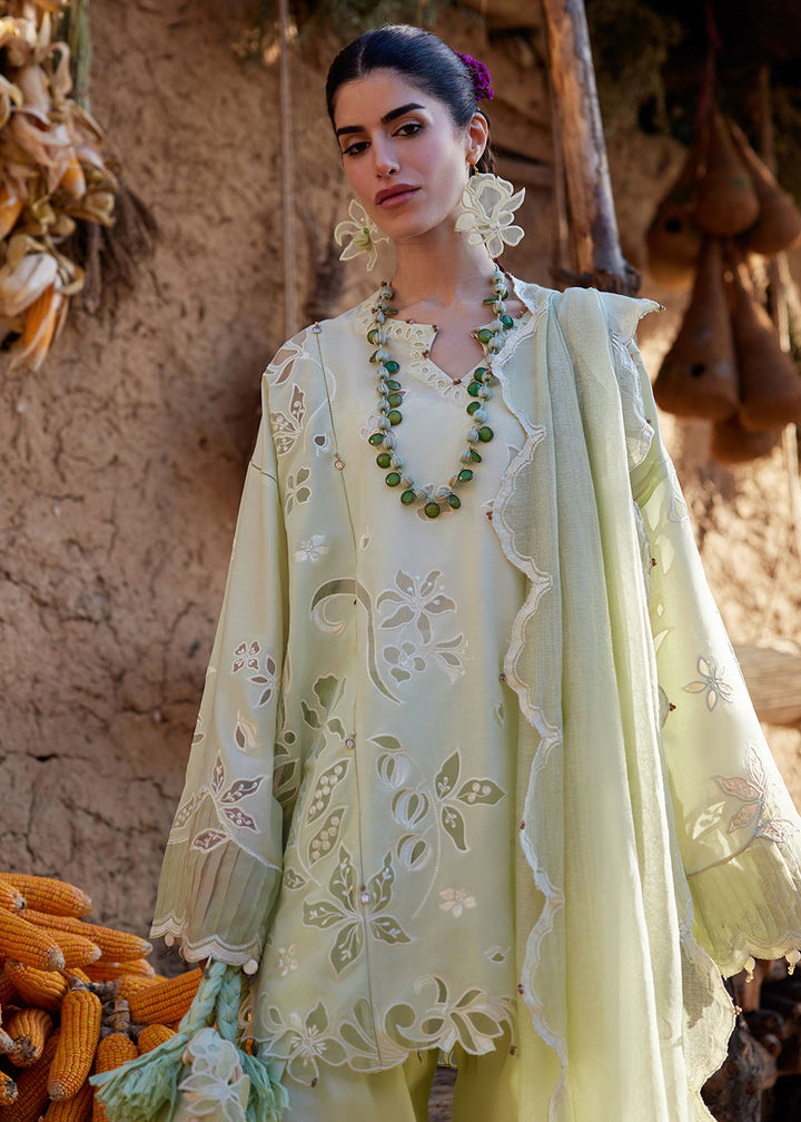 Buy Now Meiti Festive Lawn '26 by Zaha | TÁO RÓU 桃柔 (ZL26-14 B) Online in USA, UK, Canada, France, Greece, Germany, Ireland, UAE & Worldwide at Empress.