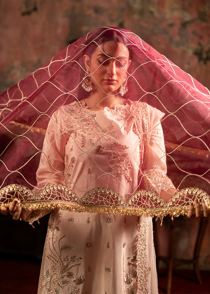 Buy Now Zarqon Luxury Formals '25 by Zebtan | ZQ-08 Online in USA, UK, Canada, France, Greece, Germany, Ireland, Italy, UAE & Worldwide at Empress Clothing.