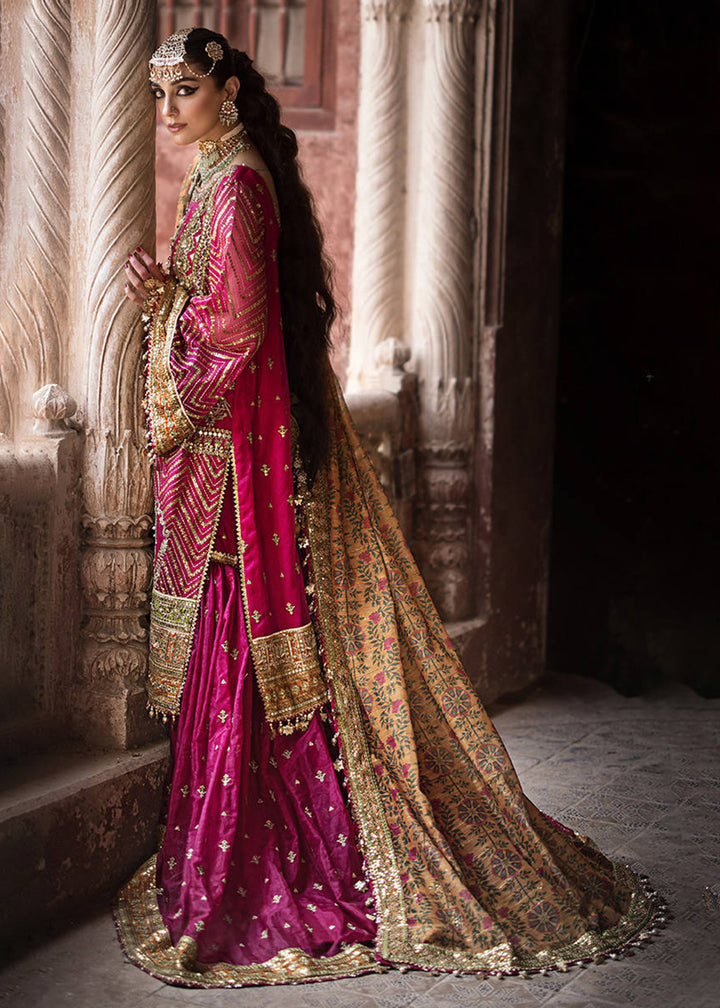 Buy Now Talpur Dynasty '23 - Unstitched Festive Vol. IV by MNR - NARANJI BAGH Online at Empress Online in USA, UK, Canada & Worldwide at Empress Clothing. 