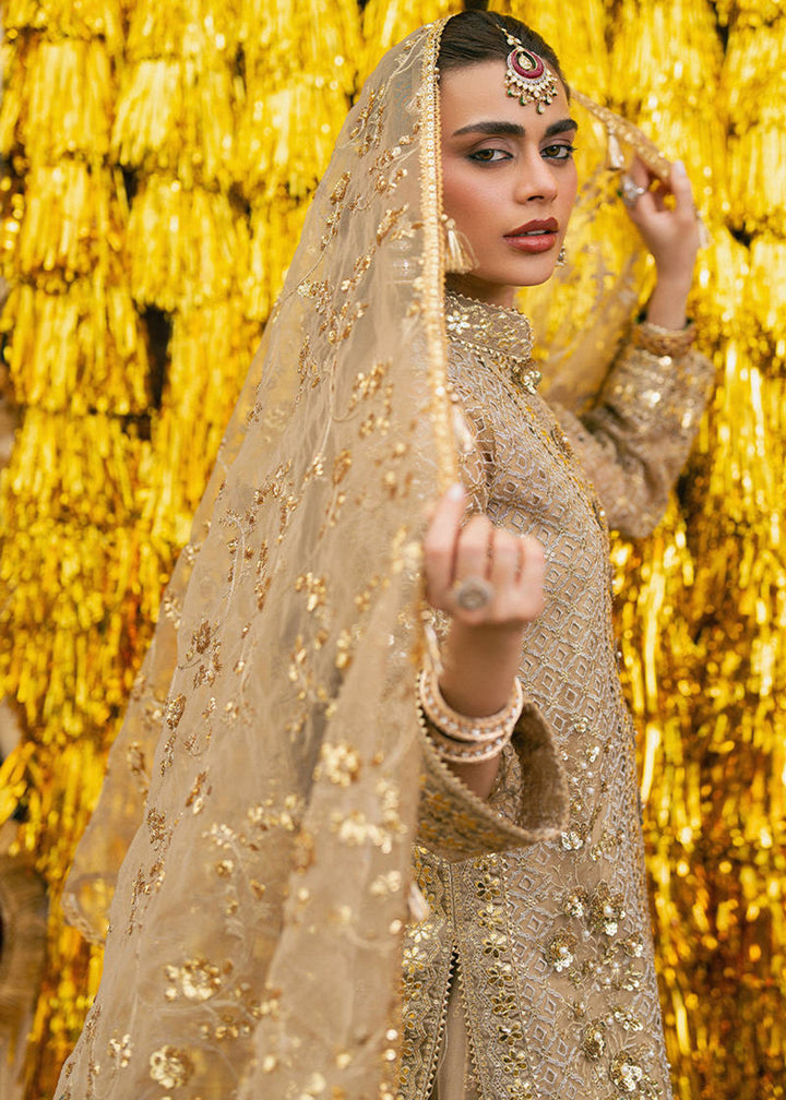 Buy Now Zarlish Wedding Formals '25 by MNR | ROSHNI Online in US, UK, Canada, France, Italy, Germany, Sweden, Greece, UAE, Netherlands & Worldwide at Empress.