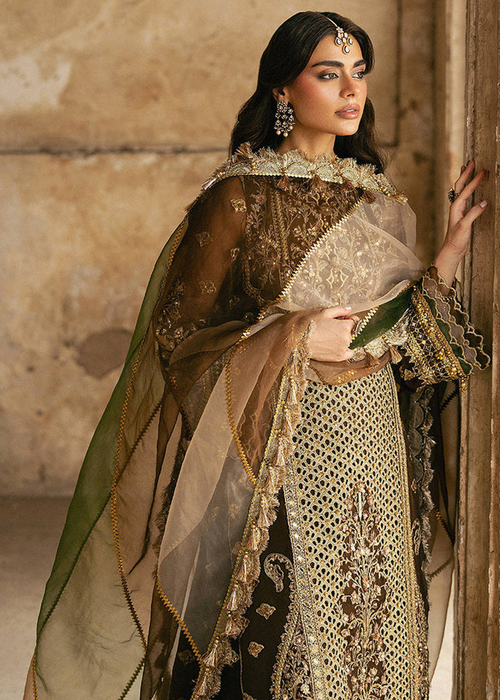 Buy Now Zarlish Wedding Formals '25 by MNR | TABEER Online in US, UK, Canada, France, Italy, Germany, Sweden, Greece, UAE, Netherlands & Worldwide at Empress.