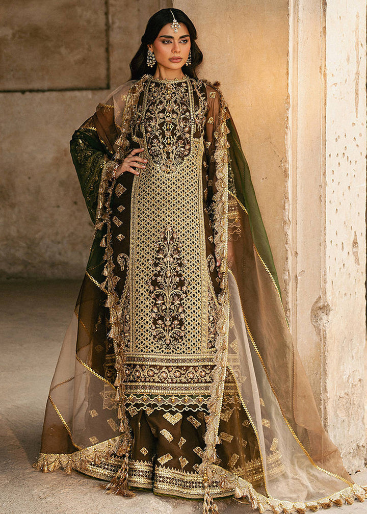 Buy Now Zarlish Wedding Formals '25 by MNR | TABEER Online in US, UK, Canada, France, Italy, Germany, Sweden, Greece, UAE, Netherlands & Worldwide at Empress.