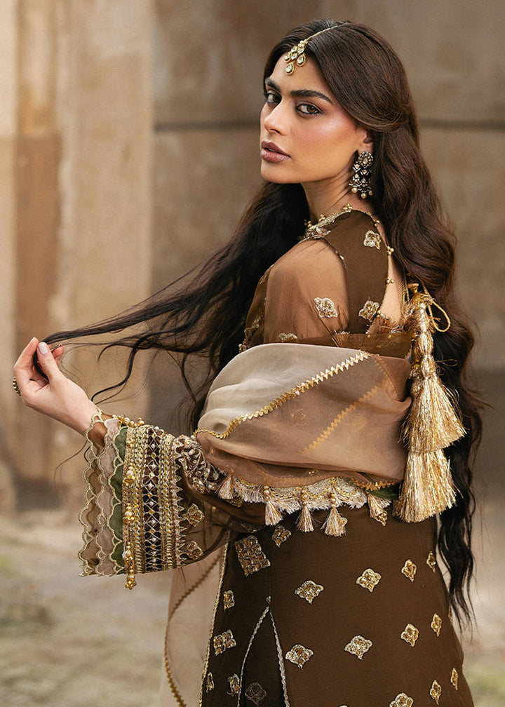 Buy Now Zarlish Wedding Formals '25 by MNR | TABEER Online in US, UK, Canada, France, Italy, Germany, Sweden, Greece, UAE, Netherlands & Worldwide at Empress.